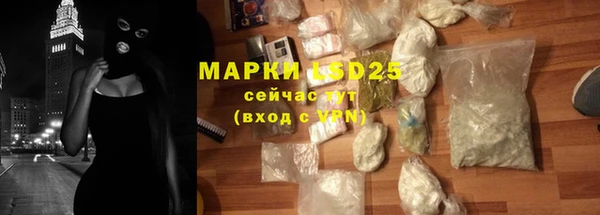 крисы Козельск