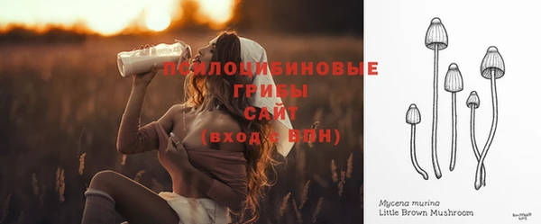 крисы Козельск
