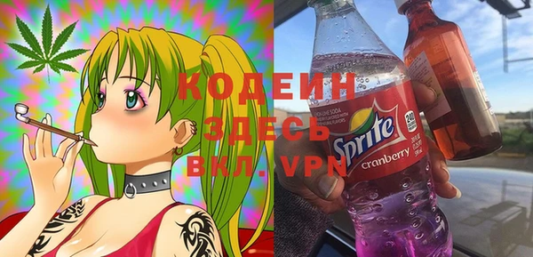 крисы Козельск