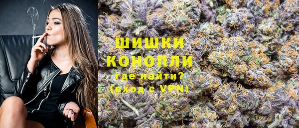 крисы Козельск