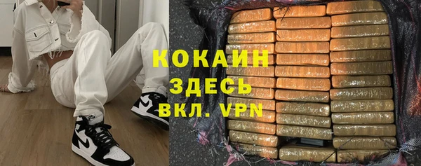 крисы Козельск