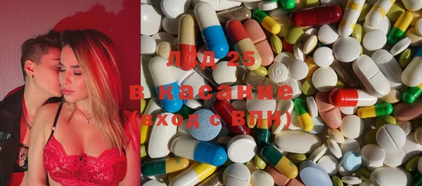 крисы Козельск