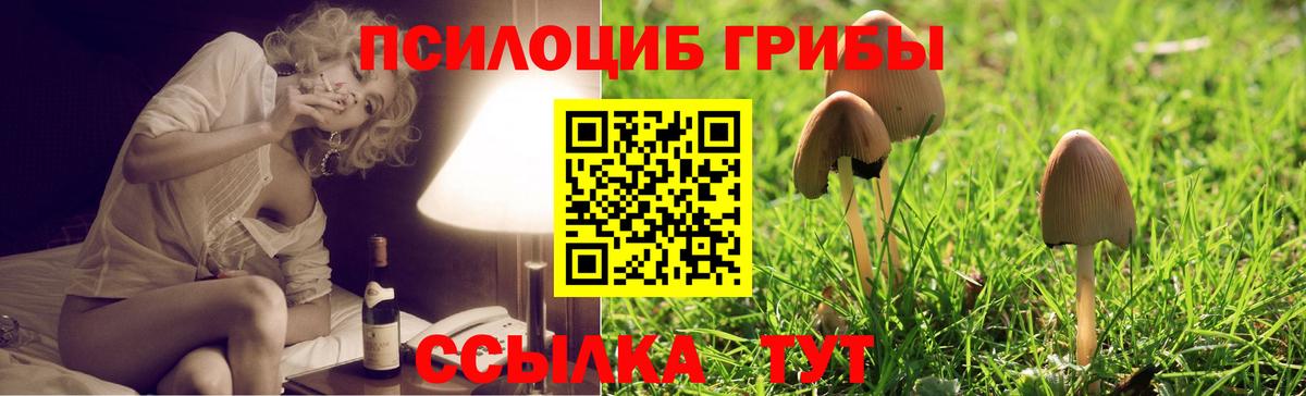 Галлюциногенные грибы GOLDEN TEACHER  Галлюциногенные грибы Psilocybe  Комсомольск-на-Амуре 